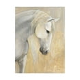 thumbnail image 1 of Trademark Fine Art 'Calm White Horses' Canvas Art by Albena Hristova, 1 of 3