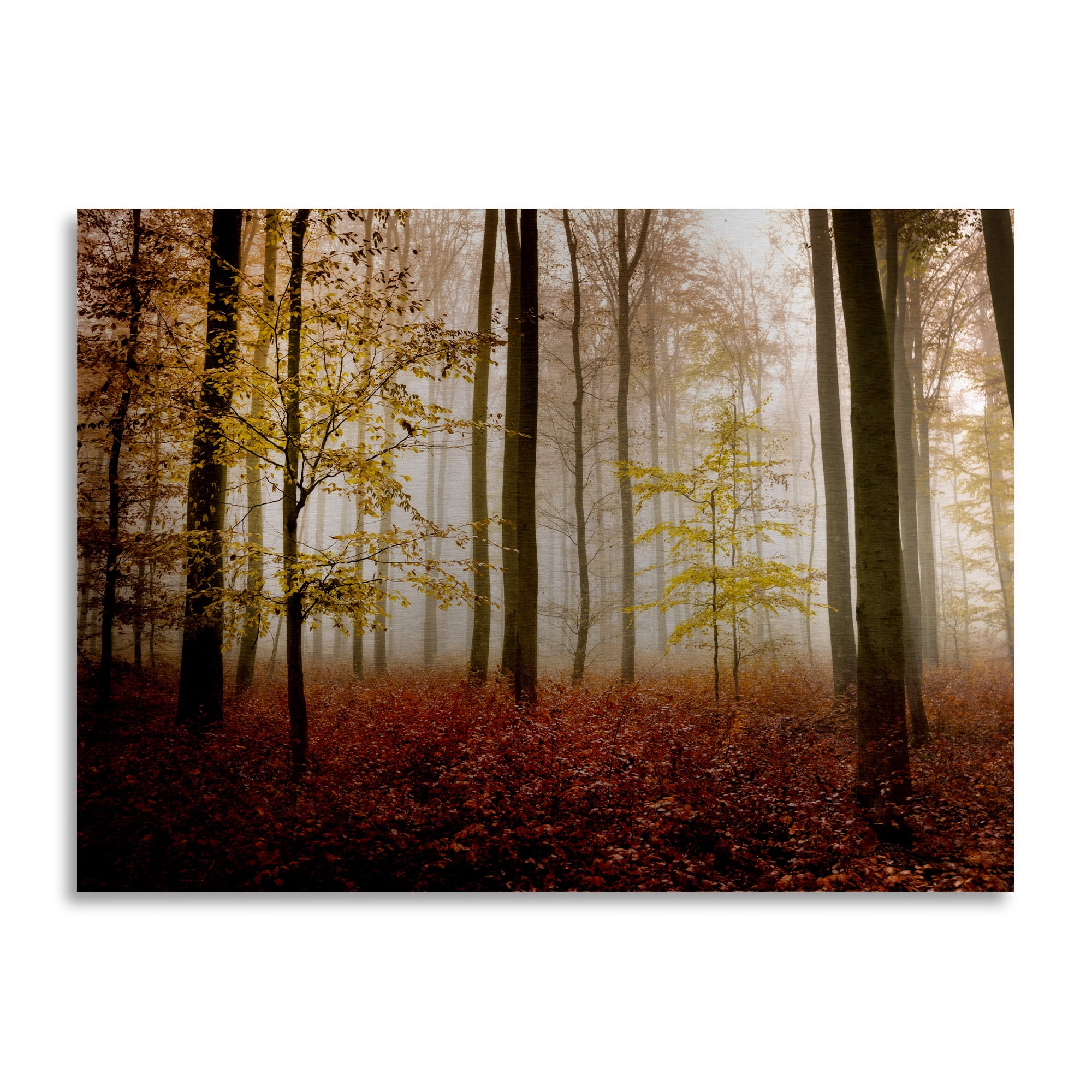 Trademark Fine Art 'Calmness' Brushed Aluminum Wall Art Art by Philippe Sainte-Laudy