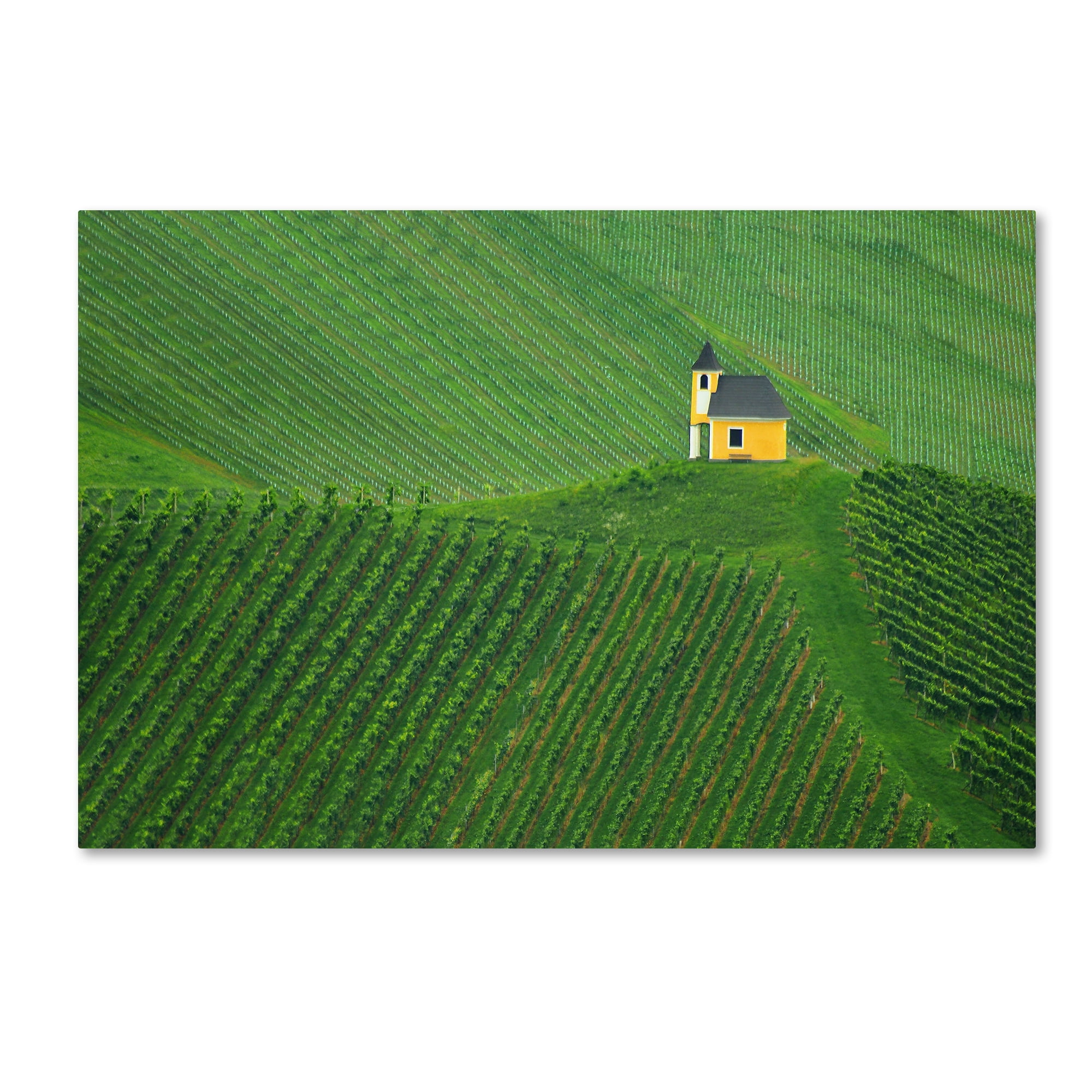 Trademark Fine Art 'Calmness' Canvas Art by Jure Kravanja