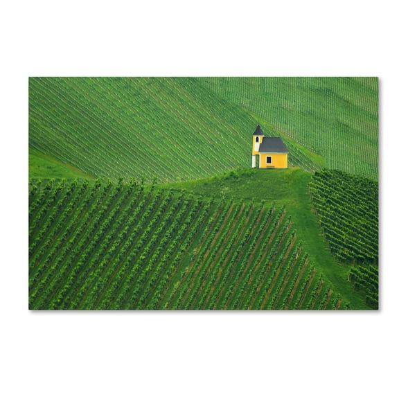 Trademark Fine Art 'Calmness' Canvas Art by Jure Kravanja
