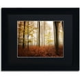 thumbnail image 1 of Trademark Fine Art "Calmness" Canvas Art by Philippe Sainte-Laudy Black Matte, Black Frame, 1 of 3