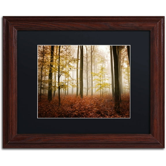 Trademark Fine Art "Calmness" Canvas Art by Philippe Sainte-Laudy Black Matte, Wood Frame