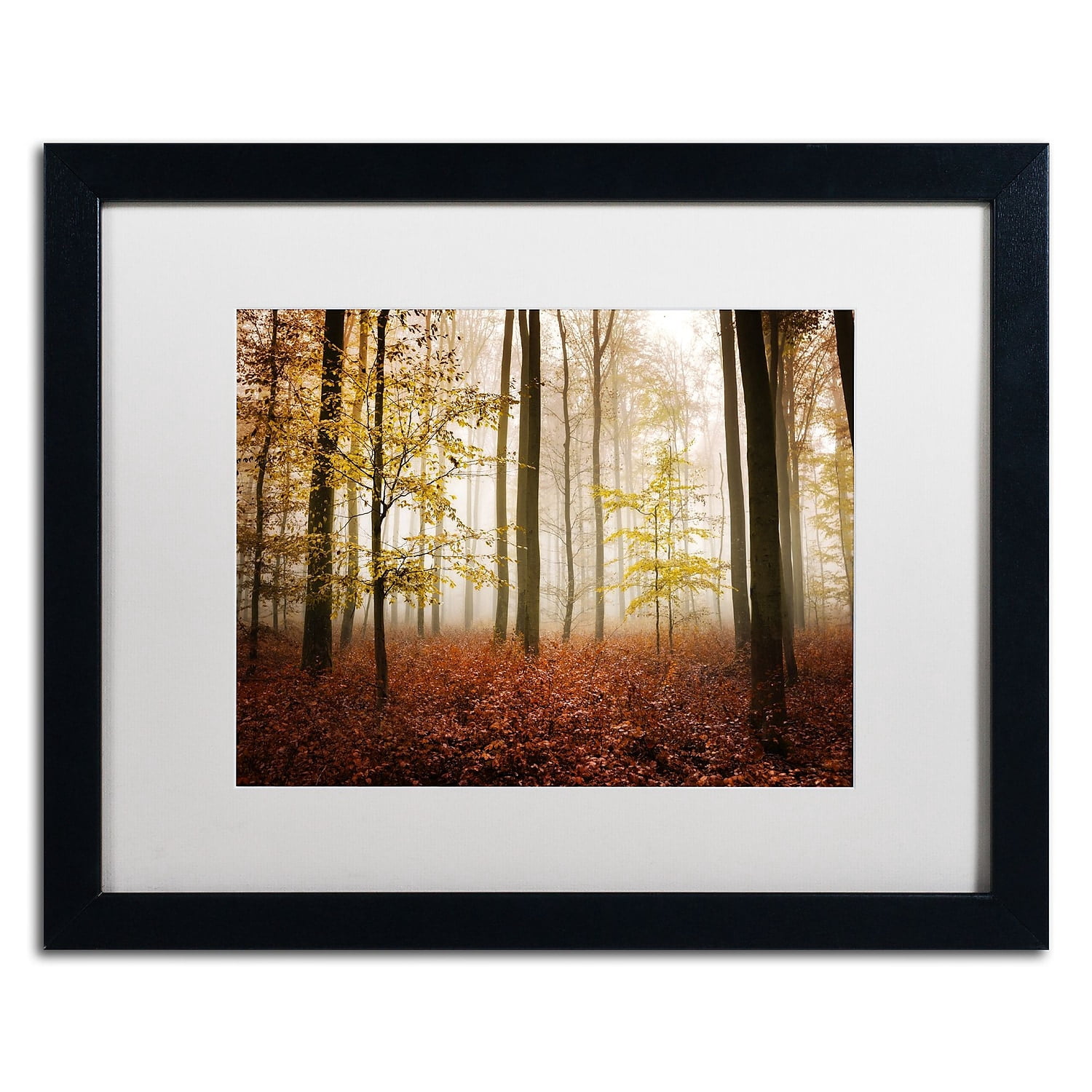 Trademark Fine Art "Calmness" Canvas Art by Philippe Sainte-Laudy White Matte, Black Frame