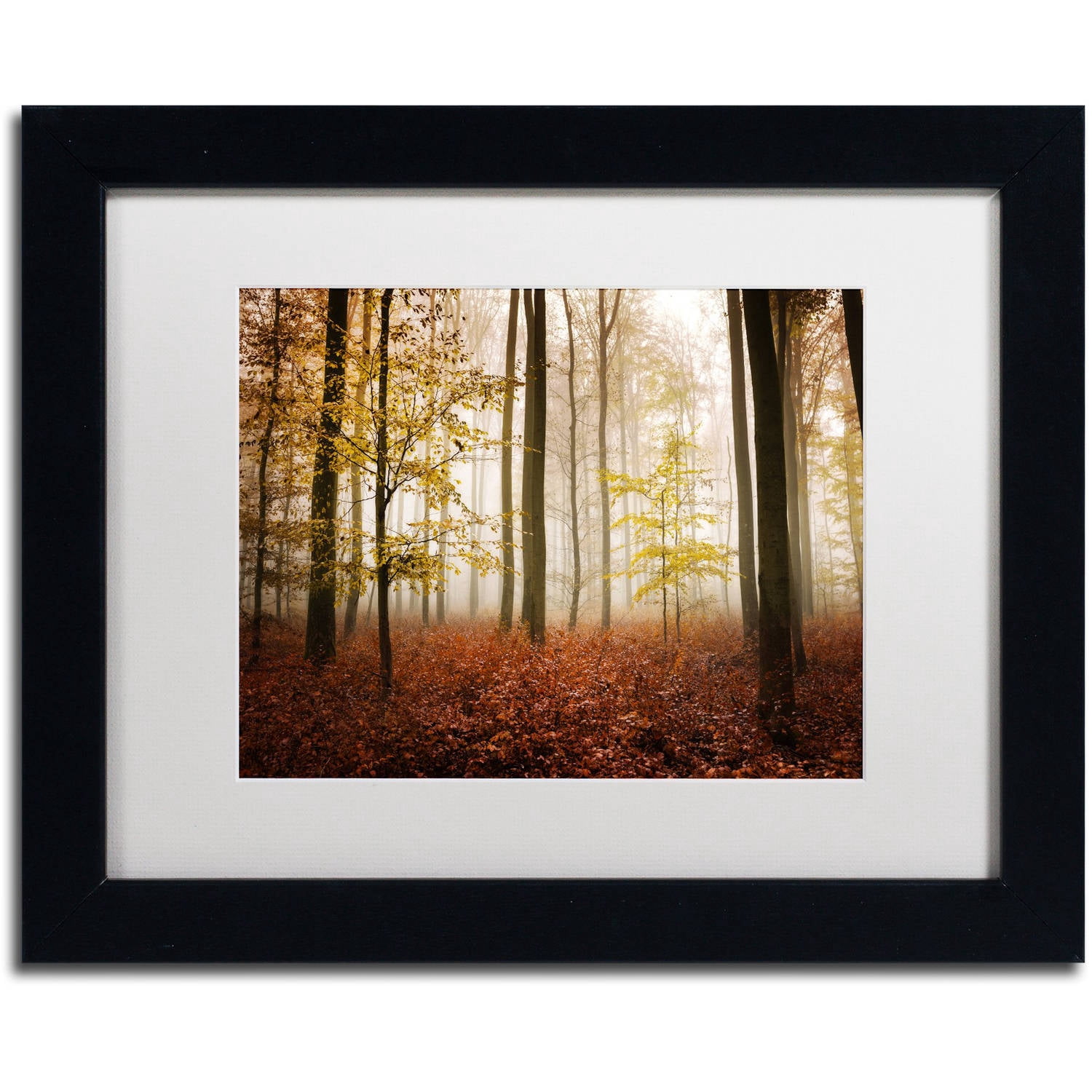 Trademark Fine Art "Calmness" Canvas Art by Philippe Sainte-Laudy White Matte, Black Frame