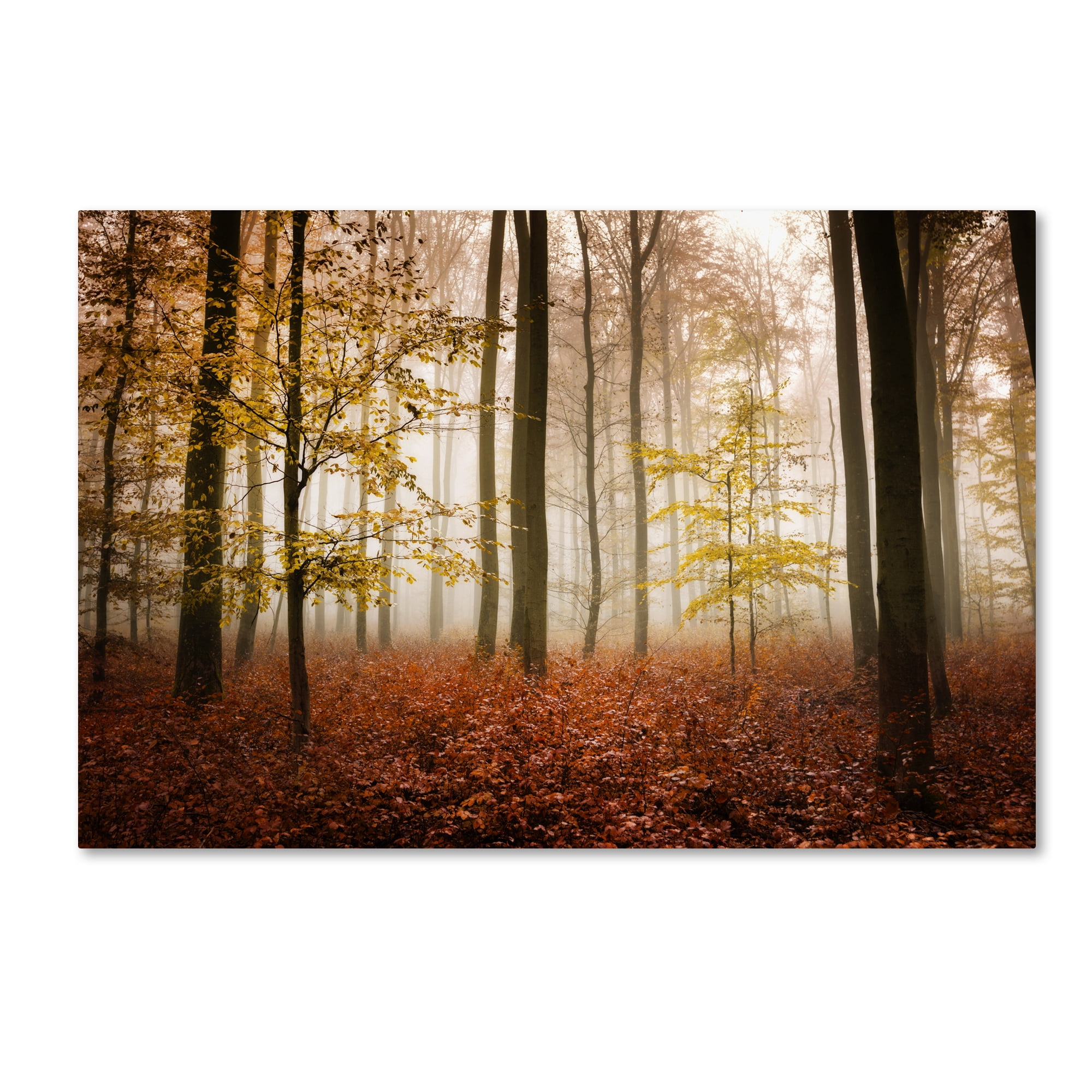 Trademark Fine Art "Calmness" Canvas Art by Philippe Sainte-Laudy