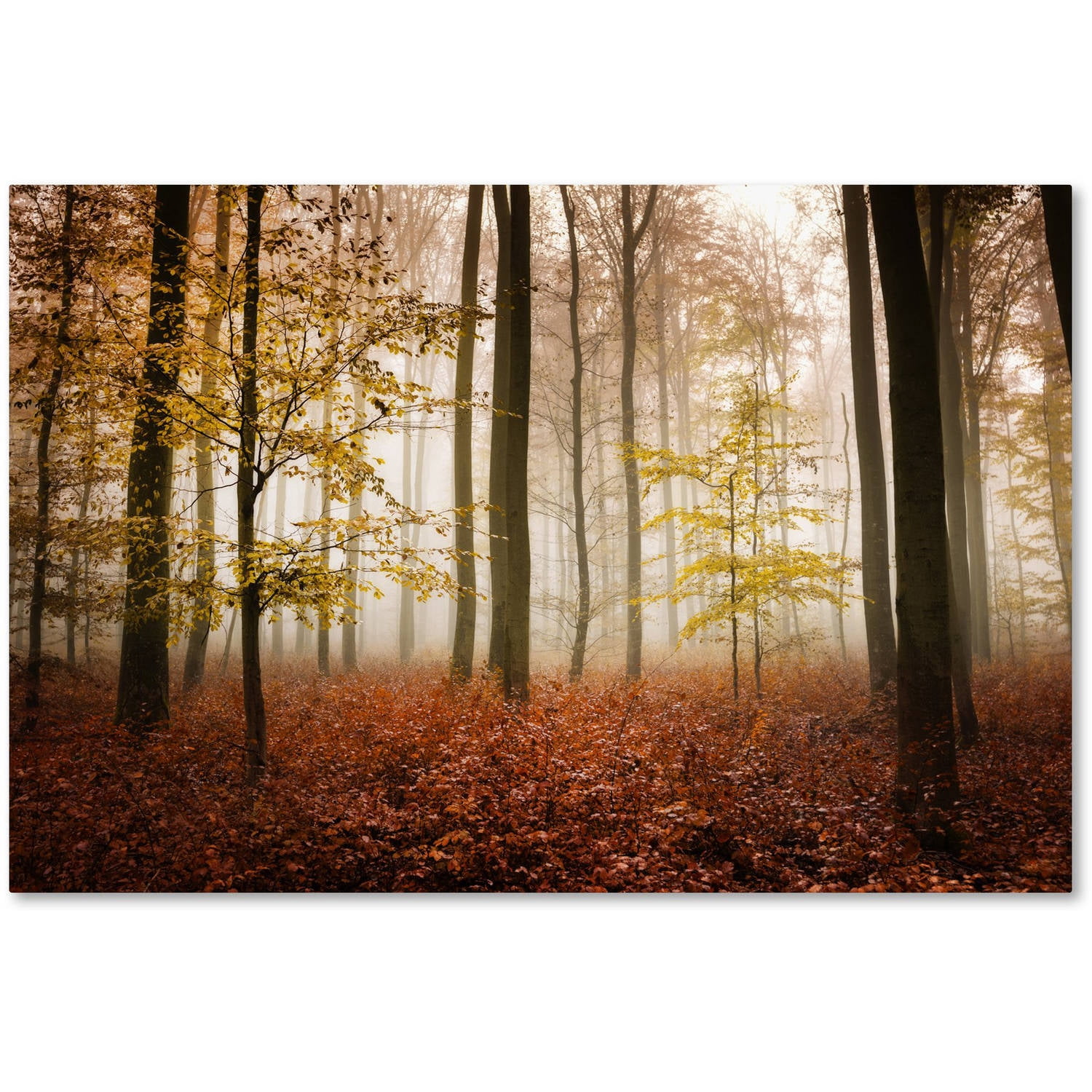 Trademark Fine Art "Calmness" Canvas Art by Philippe Sainte-Laudy