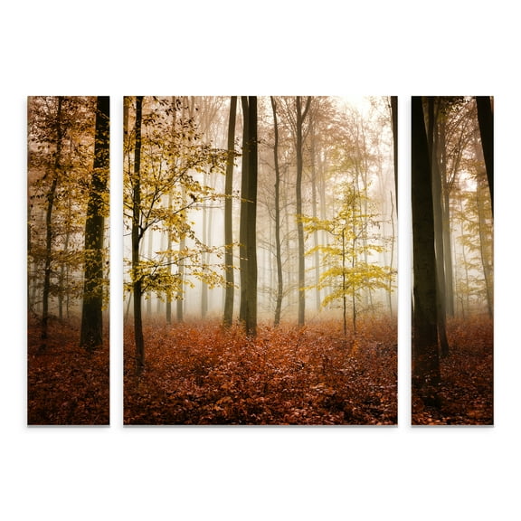 Trademark Fine Art 'Calmness' Canvas Art by Philippe Sainte-Laudy