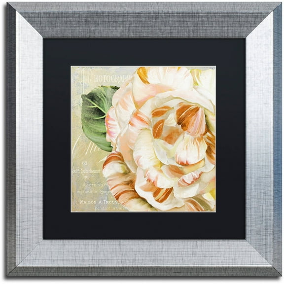 Trademark Fine Art "Camellias I" Canvas Art by Color Bakery Black Matte, Silver Frame