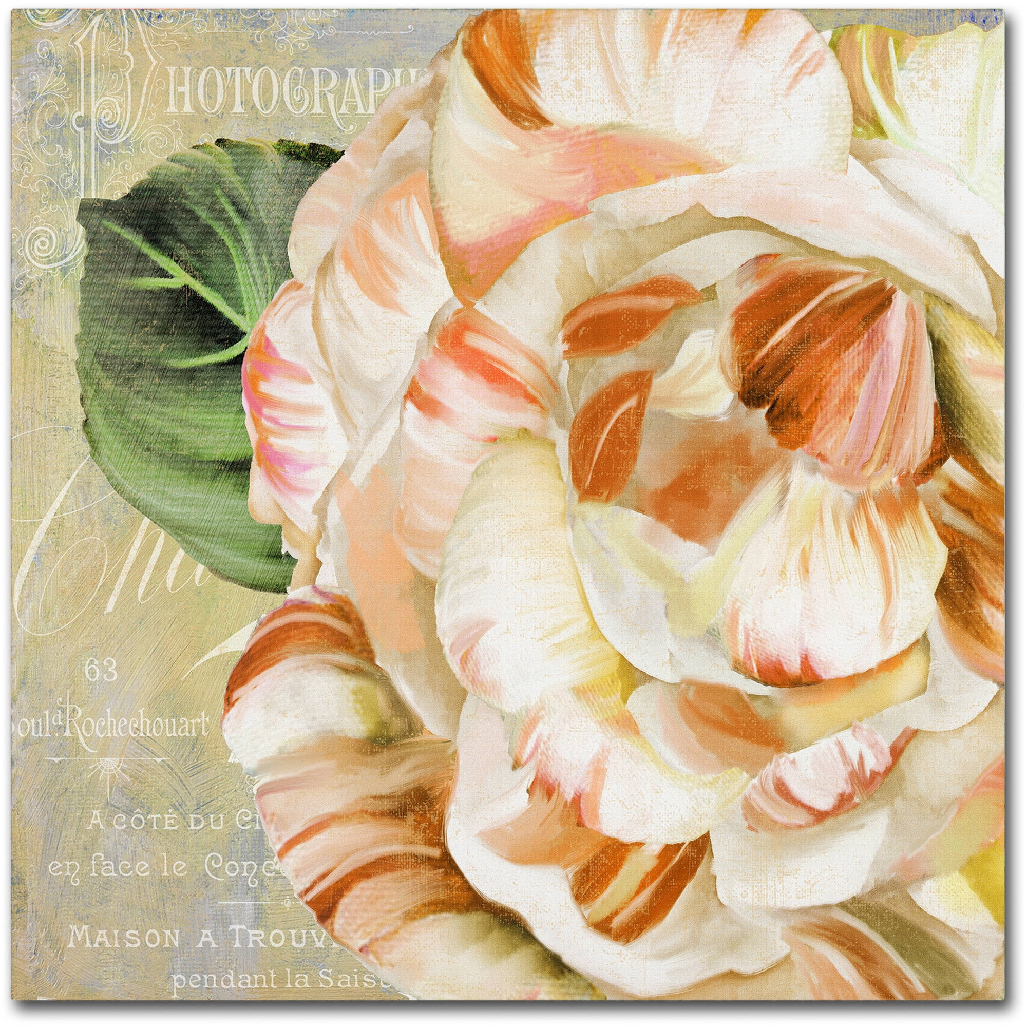 24x24-Inch Framed Nature and Floral Canvas Art in Beige and Green
