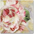 thumbnail image 1 of Trademark Fine Art "Camellias II" Canvas Art by Color Bakery, 1 of 3
