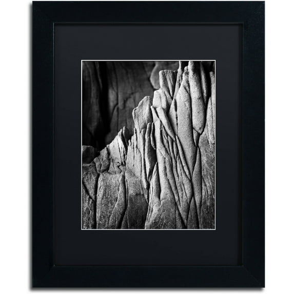 Trademark Fine Art "Camouflage" Canvas Art by Philippe Sainte-Laudy Black Matte, Black Frame