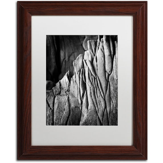 Trademark Fine Art "Camouflage" Canvas Art by Philippe Sainte-Laudy White Matte, Wood Frame
