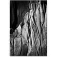thumbnail image 1 of Trademark Fine Art "Camouflage" Canvas Art by Philippe Sainte-Laudy, 1 of 1