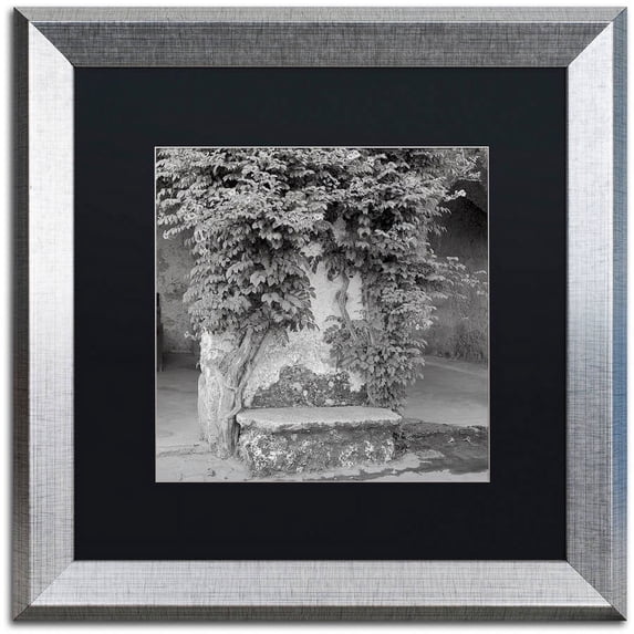 Trademark Fine Art "Campagnia II" Canvas Art by Alan Blaustein, Black Matte, Silver Frame