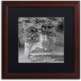 thumbnail image 1 of Trademark Fine Art "Campagnia II" Canvas Art by Alan Blaustein, Black Matte, Wood Frame, 1 of 4