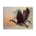 thumbnail image 1 of Trademark Fine Art 'Canada Geese' Canvas Art by Rusty Frentner, 1 of 3