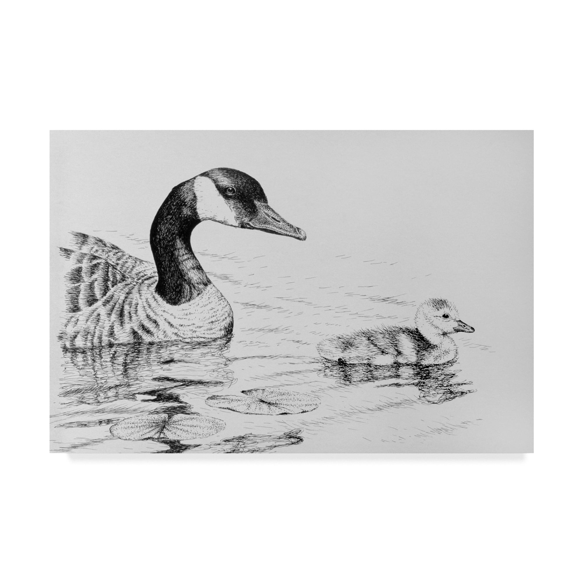 Trademark Fine Art 'Canada Goose And Baby' Canvas Art by Rusty Frentner