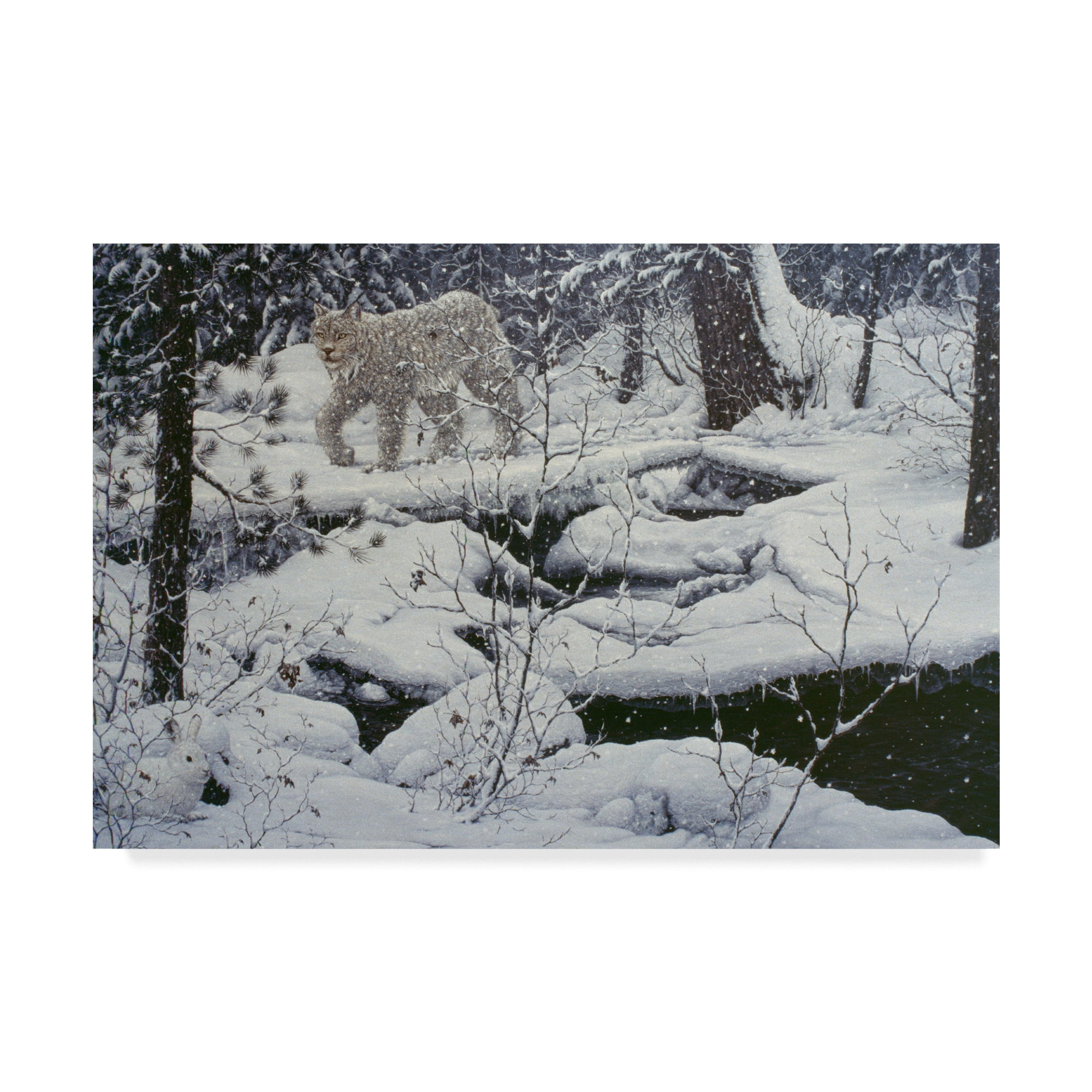 Trademark Fine Art 'Canadian Lynx' Canvas Art by Jeff Tift