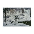 thumbnail image 1 of Trademark Fine Art 'Canadian Lynx' Canvas Art by Jeff Tift, 1 of 3