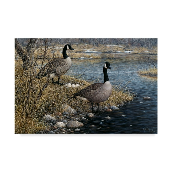 Trademark Fine Art 'Canadian Pair' Canvas Art by Jeff Tift