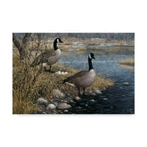 Trademark Fine Art 'Canadian Pair' Canvas Art by Jeff Tift