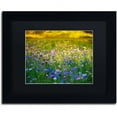thumbnail image 1 of Trademark Fine Art "Candy Fields" Canvas Art by Philippe Sainte-Laudy, Black Matte, Black Frame, 1 of 4