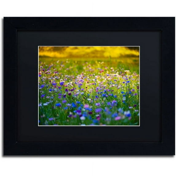 Trademark Fine Art "Candy Fields" Canvas Art by Philippe Sainte-Laudy, Black Matte, Black Frame