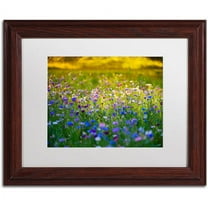 Trademark Fine Art "Candy Fields" Canvas Art by Philippe Sainte-Laudy, White Matte, Wood Frame