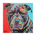 thumbnail image 1 of Trademark Fine Art 'Canine Buddy III' Canvas Art by Carolee Vitaletti, 1 of 3