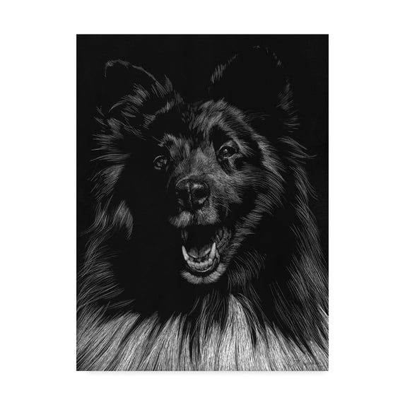 Trademark Fine Art 'Canine Scratchboard IX' Canvas Art by Julie T. Chapman