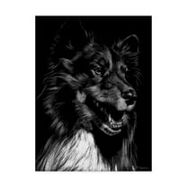 Trademark Fine Art 'Canine Scratchboard X' Canvas Art by Julie T. Chapman