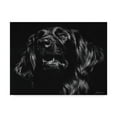 thumbnail image 1 of Trademark Fine Art 'Canine Scratchboard XV' Canvas Art by Julie T. Chapman, 1 of 4