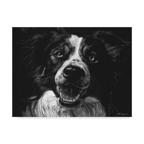 Trademark Fine Art 'Canine Scratchboard XVIII' Canvas Art by Julie T. Chapman