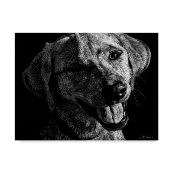 Trademark Fine Art 'Canine Scratchboard XXIII' Canvas Art by Julie T. Chapman