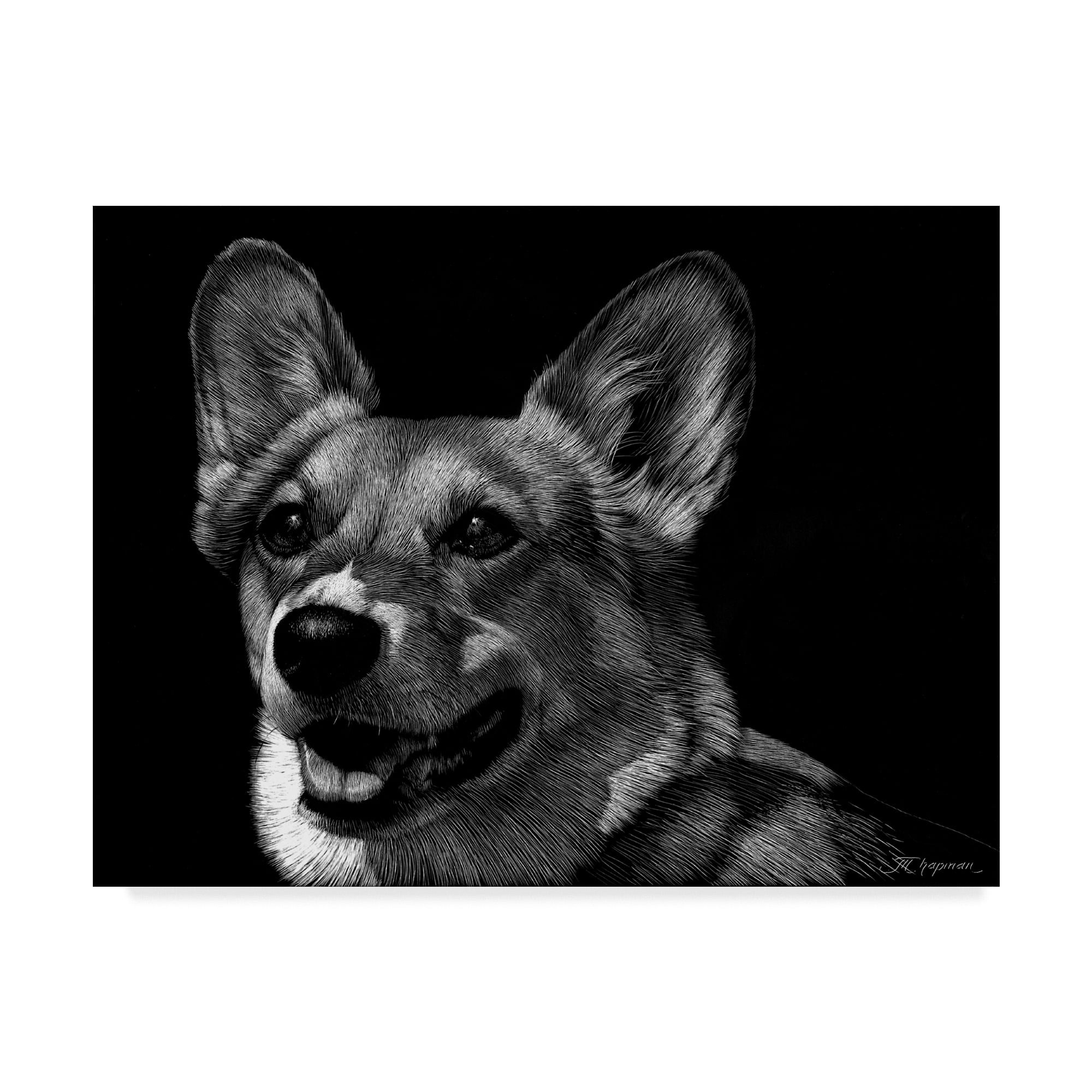 Trademark Fine Art 'Canine Scratchboard XXIX' Canvas Art by Julie T. Chapman