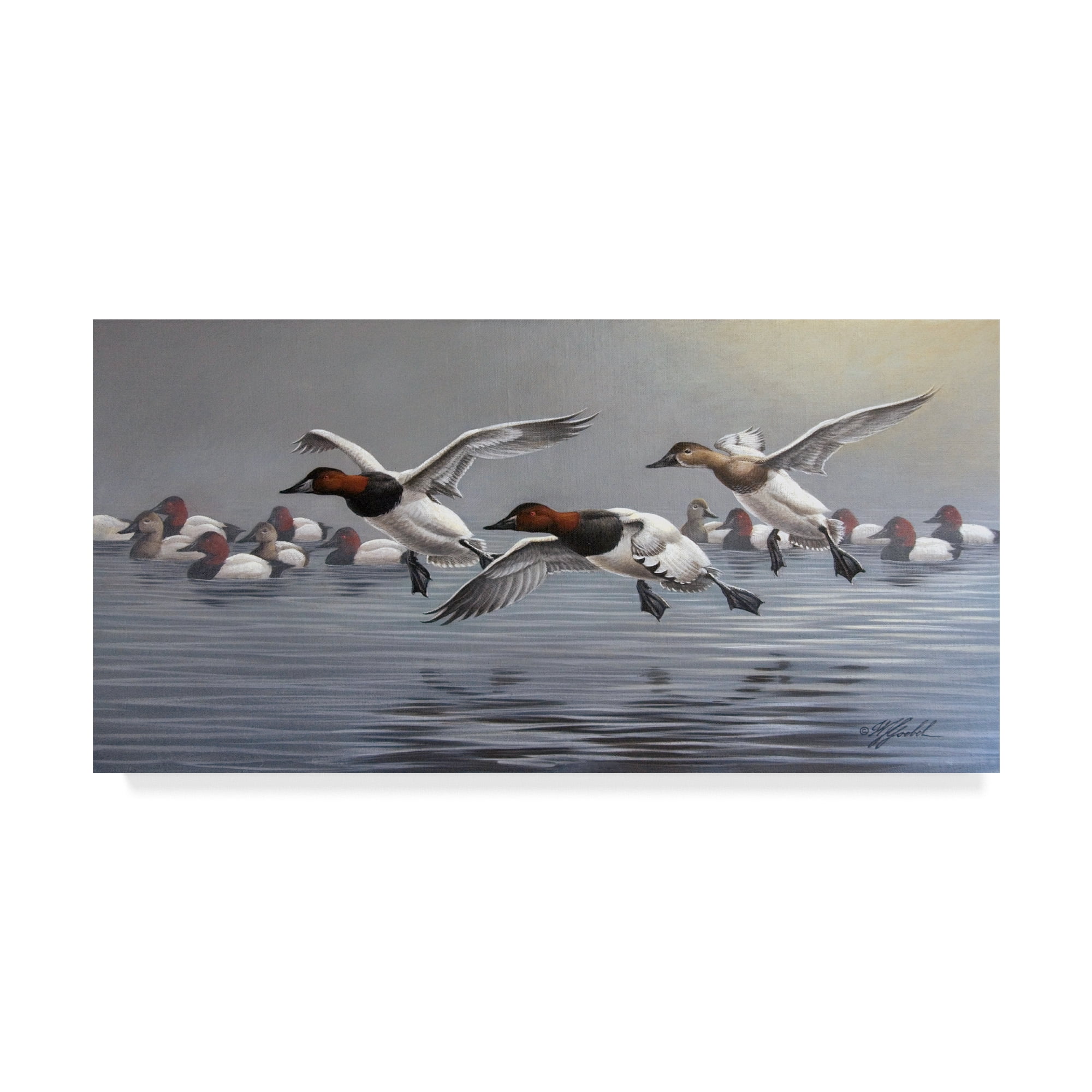 Trademark Fine Art 'Canvasbacks Coming In' Canvas Art by Wilhelm Goebel