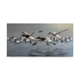 thumbnail image 1 of Trademark Fine Art 'Canvasbacks Coming In' Canvas Art by Wilhelm Goebel, 1 of 3