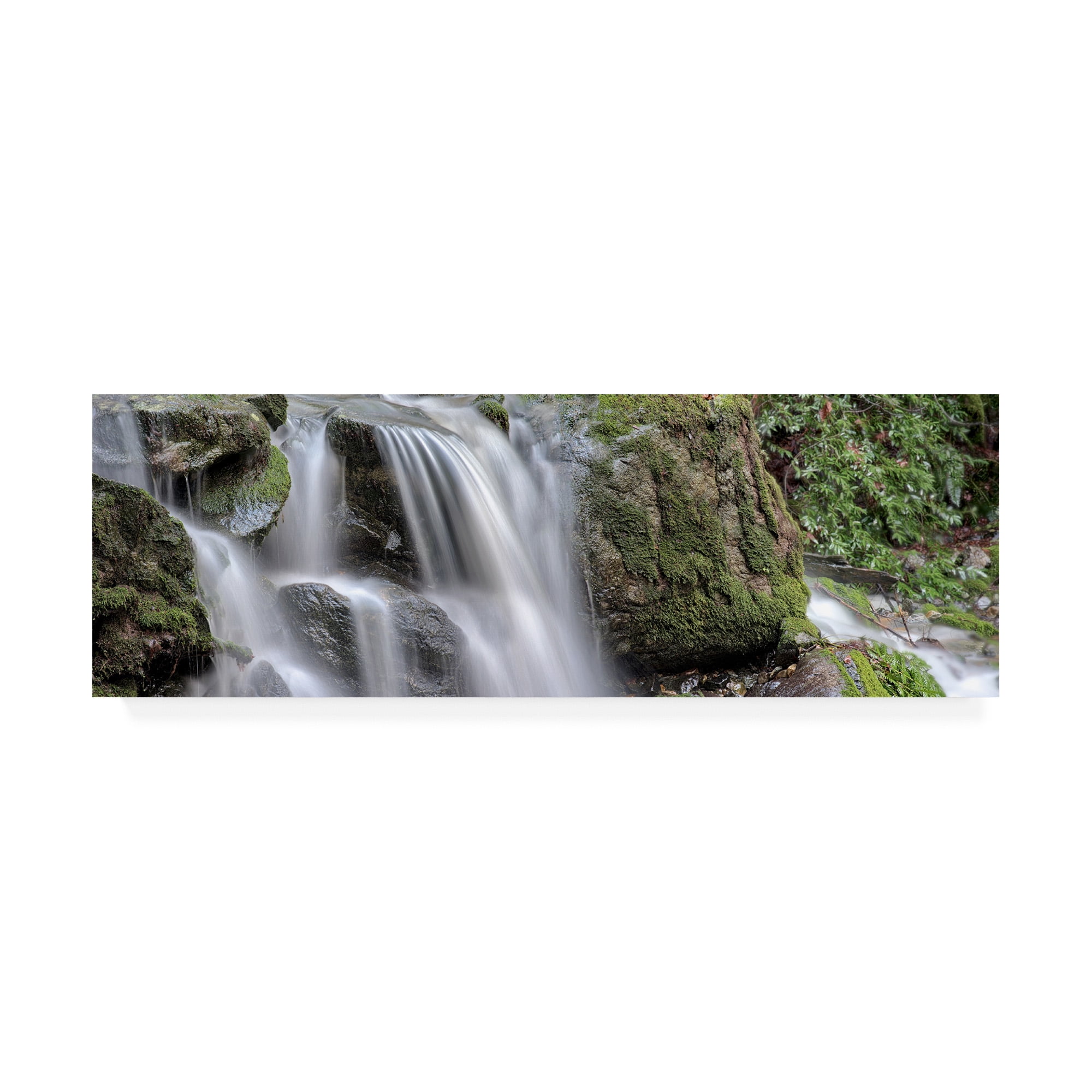 Trademark Fine Art 'Canyon Falls No. 10' Canvas Art by Alan Blaustein