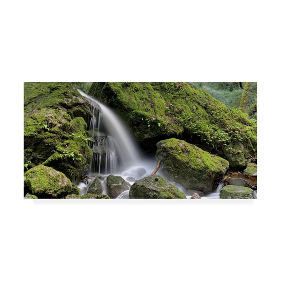 Trademark Fine Art 'Canyon Falls No. 13' Canvas Art by Alan Blaustein