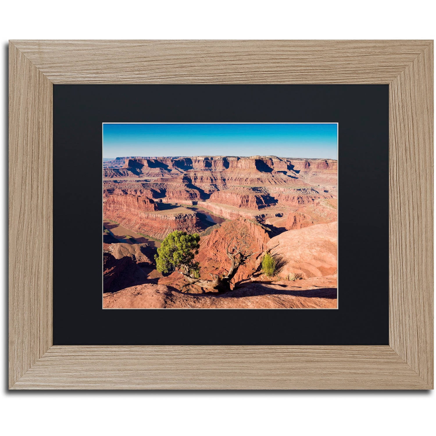 Trademark Fine Art "Canyonlands Sunrise" Canvas Art by Michael Blanchette Photography Black Matte, Birch Frame