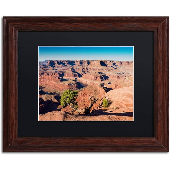 Trademark Fine Art "Canyonlands Sunrise" Canvas Art by Michael Blanchette Photography Black Matte, Wood Frame