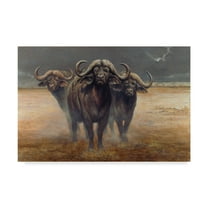 Trademark Fine Art 'Cape Buffalos' Canvas Art by Harro Maass