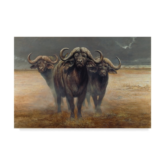 Trademark Fine Art 'Cape Buffalos' Canvas Art by Harro Maass