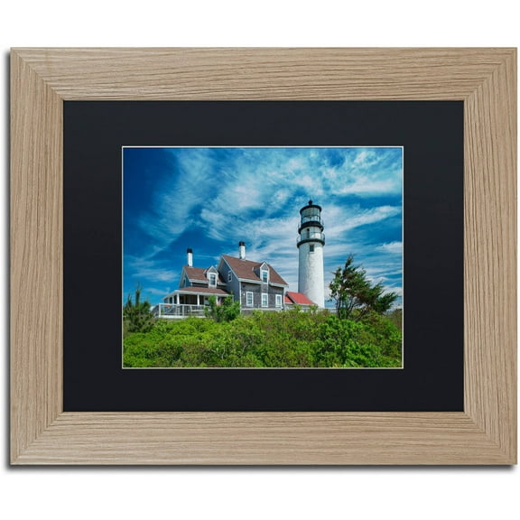 Trademark Fine Art "Cape Cod Light" Canvas Art by Michael Blanchette Photography Black Matte, Birch Frame