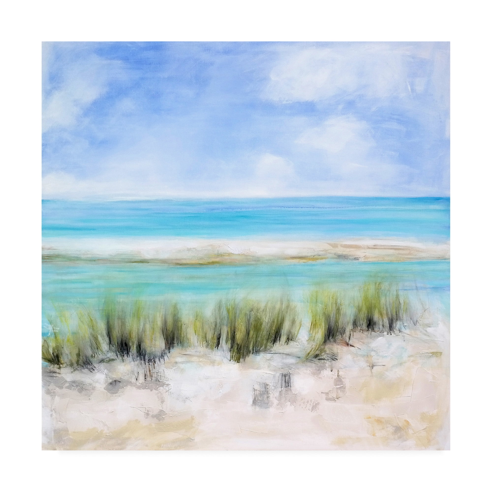 Trademark Fine Art 'Captiva Island' Canvas Art by Mila Apperl
