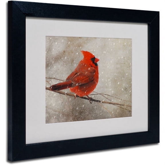 Trademark Fine Art 'Cardinal In Winter' Matted Framed Art by Lois Bryan