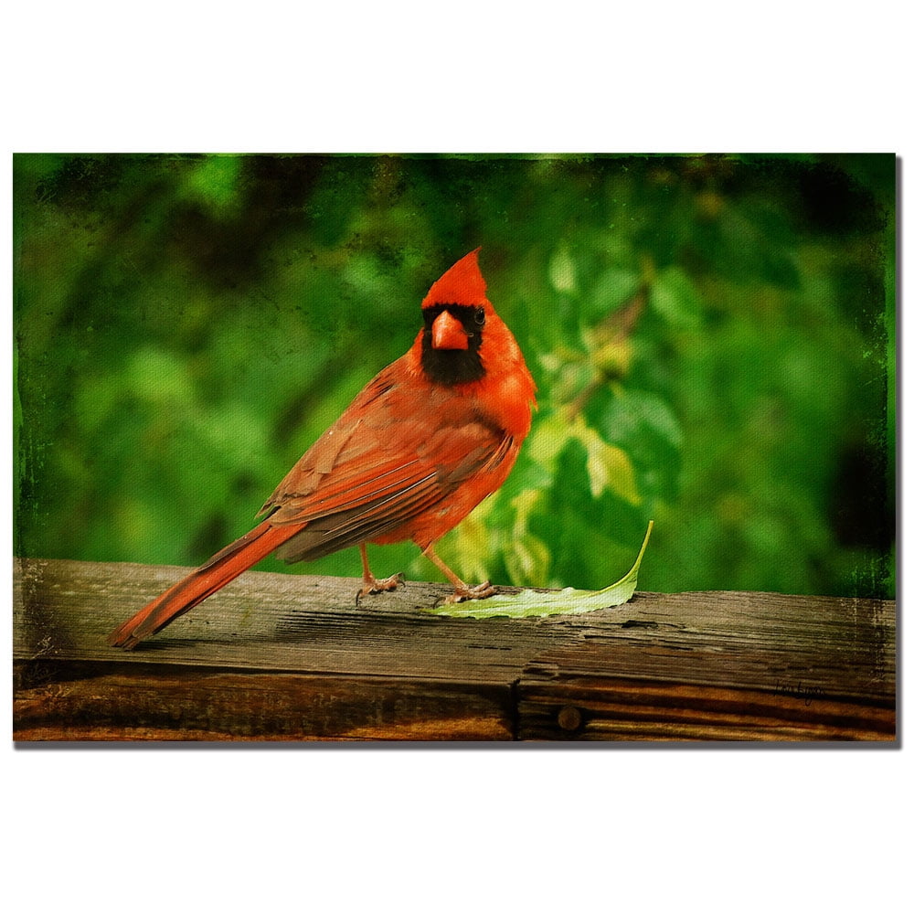 Trademark Fine Art "Cardinal in Summer" Canvas Art by Lois Bryan
