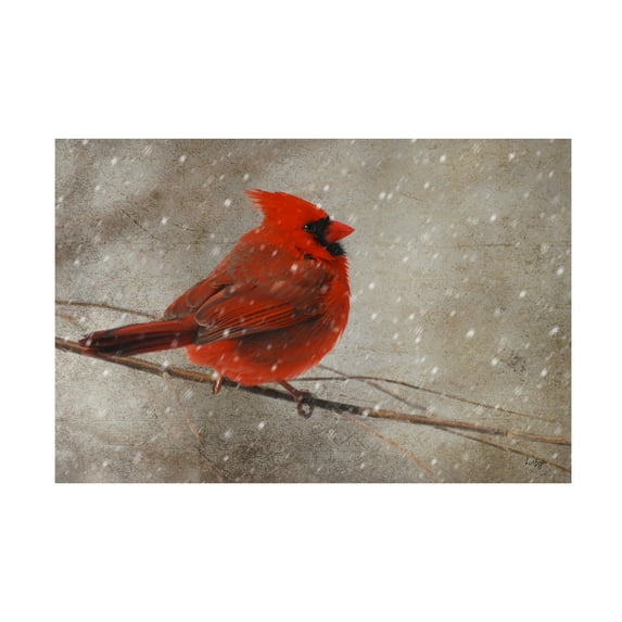 Trademark Fine Art Lois Bryan Cardinal In Winter Canvas Wall Art - 16x24