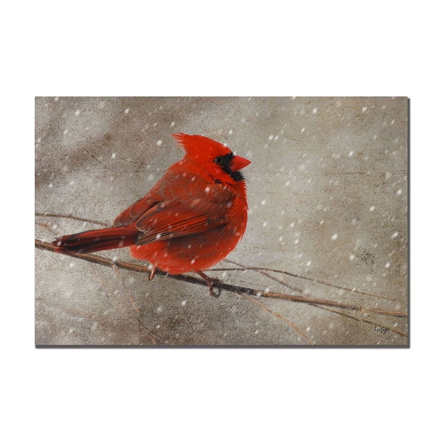 Cardinal in Winter Red and Gray Framed Canvas Art