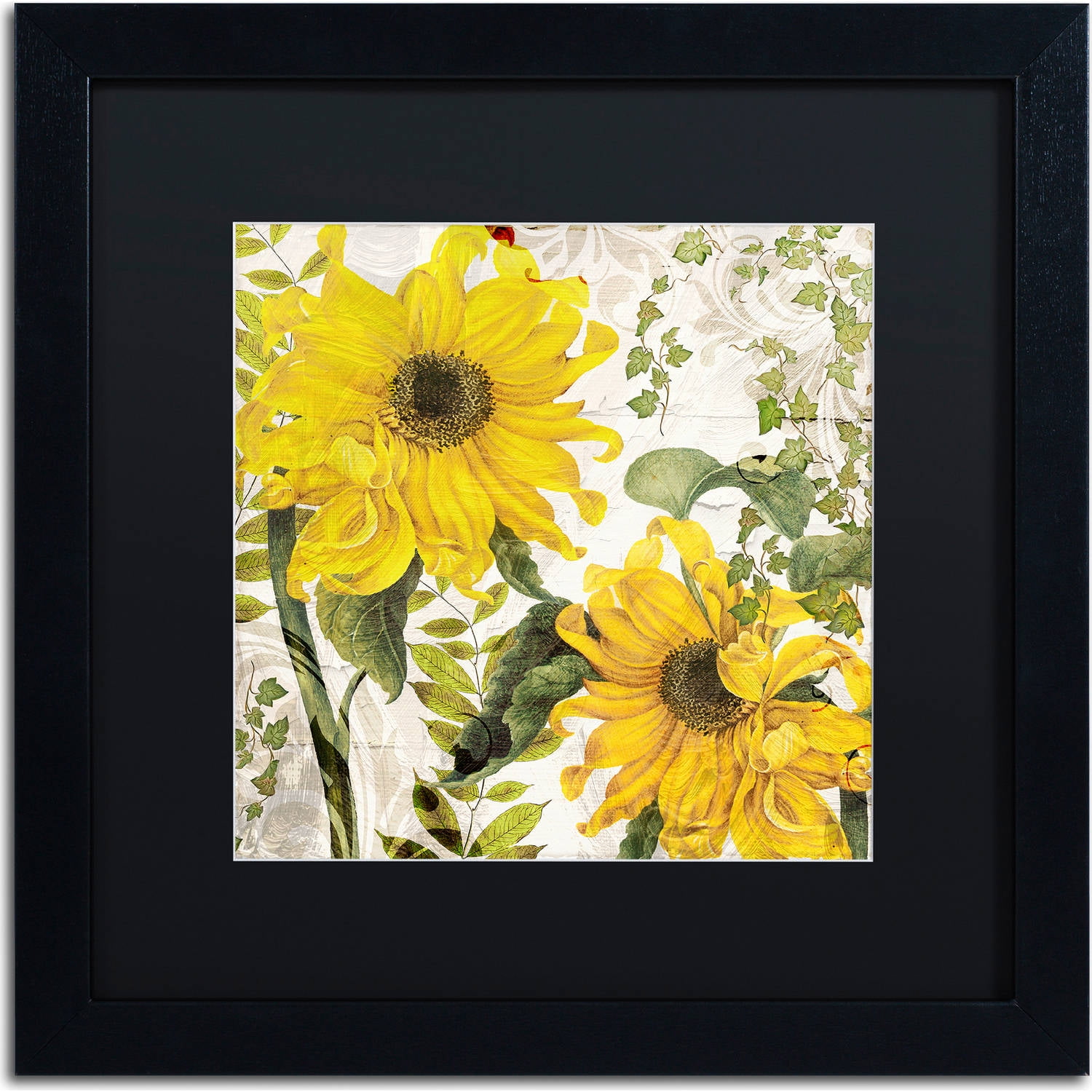 Trademark Fine Art "Carina I" Canvas Art by Color Bakery, Black Matte, Black Frame